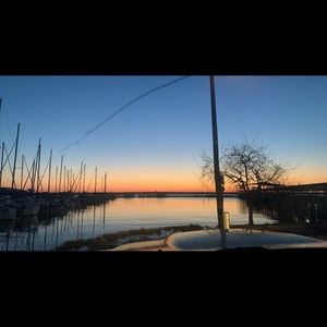 Meet your Posher, Tanner